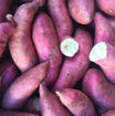 图片 甜糯中国红皮白心番薯 板栗薯  ca.900g-1kg 大号 约2颗