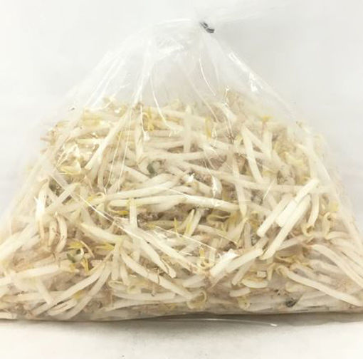 图片 新鲜绿豆芽一大包 400g
