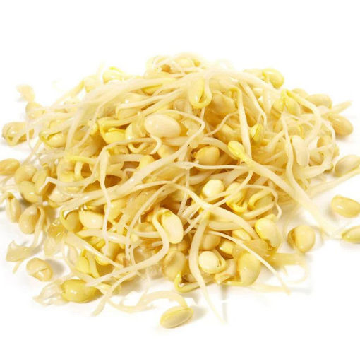 图片 黄豆芽 一大包  800g