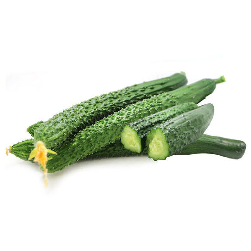图片 中国黄瓜 顶花带刺 2颗  ca.500g+/-