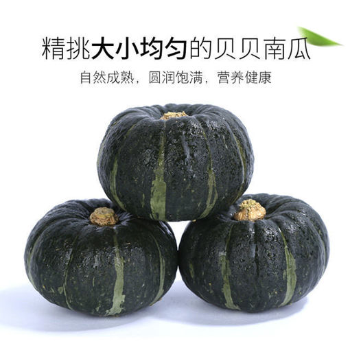 图片 日式贝贝南瓜 香甜软糯 ca.2kg