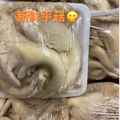 图片 平菇 新鲜盒装 200g (2盒x100g)