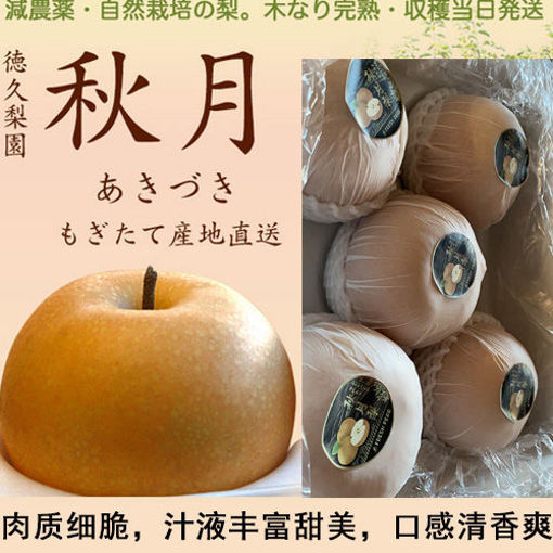 图片 中国进口 秋月梨 特大号 1颗 ca.600g + 特甜多汁肉细腻