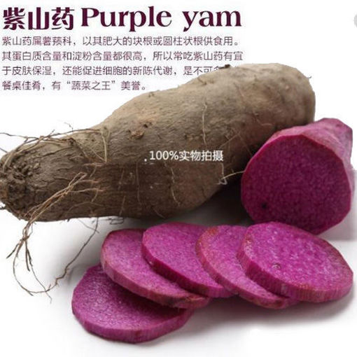 图片 '蔬菜之王'紫山药 营养价值高 ca.500/600g+ 