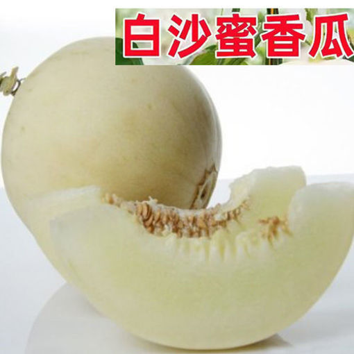 图片 香瓜 1颗 (白沙蜜香瓜/甜瓜 )香甜可口 ca.400/500g 整颗 重量稍有偏差