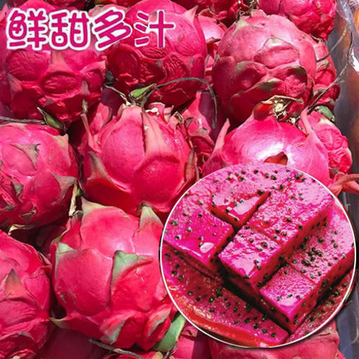 图片 实物图 红心火龙果 小号 ca.300g+ (整颗重量会稍有偏差)