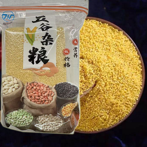 图片 中国马山县 优质黄小米 500g 