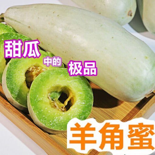 图片 羊角蜜甜瓜 ca.700/800g 整颗 重量稍有偏差