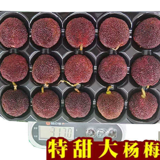 图片 实物图! 空运新鲜大杨梅 15颗 340g/+-10g (特级品质 保甜)