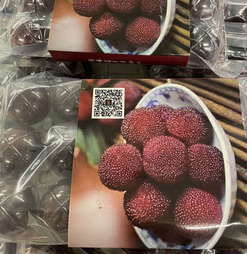 图片 空运 浙江东魁大杨梅 15颗 375g/+-10g (特级品质 保甜)