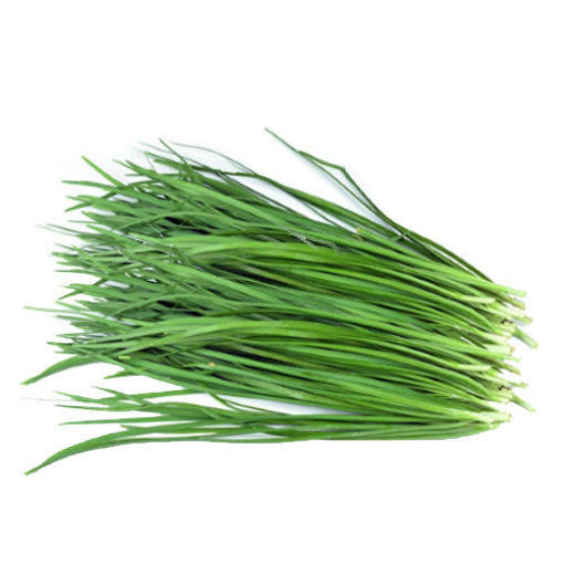 图片 新鲜本地韭菜 1大把 200g (秋天韭菜带韭菜花) Schnittknoblauch