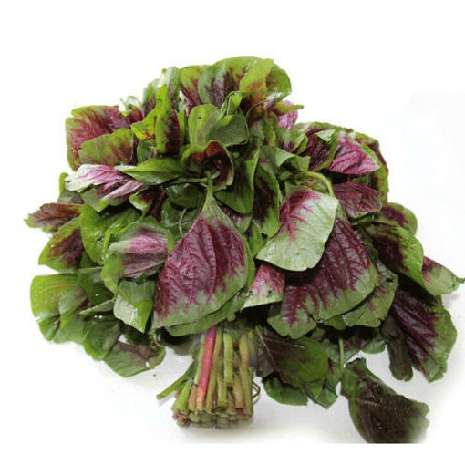 图片 红苋菜 一大捆 ca.250g 