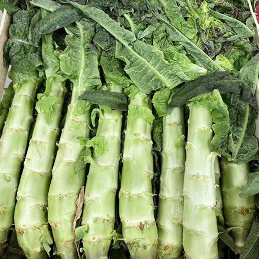 图片 长莴笋 1颗 ca.300g  整根重量有偏差