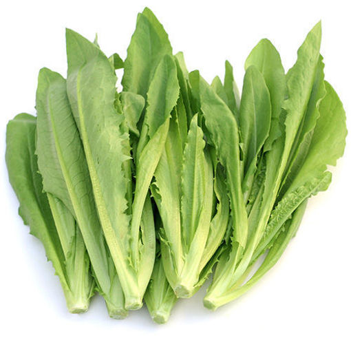 图片 油麦菜 ca.300g