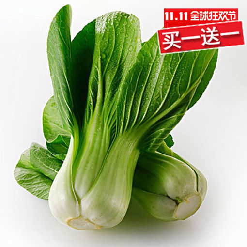 图片 买一送一! 上海青菜 ca.450/500g