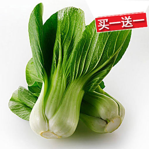 图片 买一送一! 上海青菜 ca.400/450g 整颗重量有偏差+/-