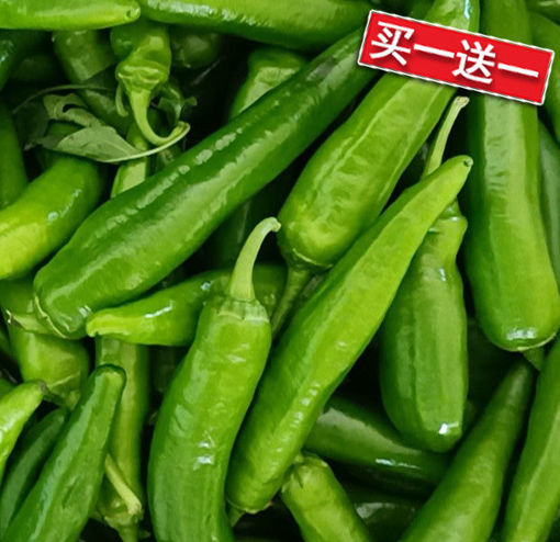 图片 买一送一! 中国绿尖椒 青辣椒 辣度适中 ca.200g