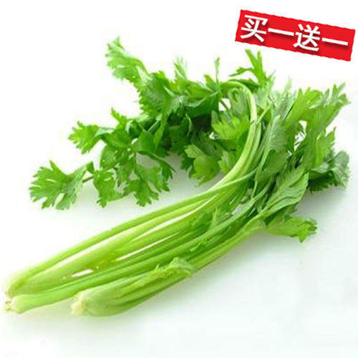 图片 买一送一! 中国嫩芹菜 香芹 ca. 200-250g 