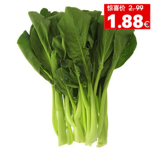 图片 嫩菜心 1大捆 ca.300g 