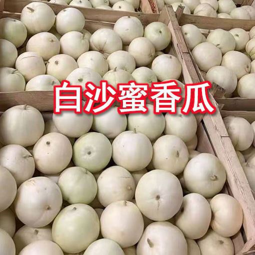 图片 香瓜 (白沙蜜香瓜/甜瓜 )香甜可口 ca.1kg 整颗 重量稍有偏差