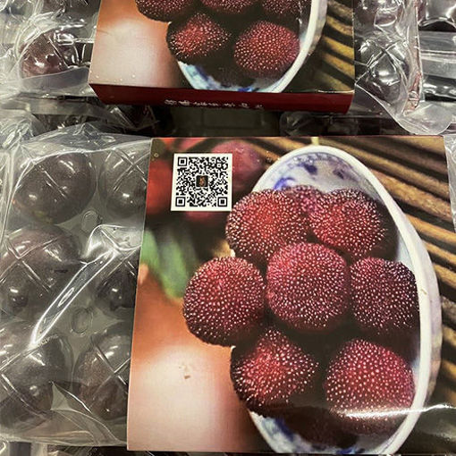 图片 空运 浙江东魁大杨梅 15颗 375g/+-10g (特级品质 保甜)