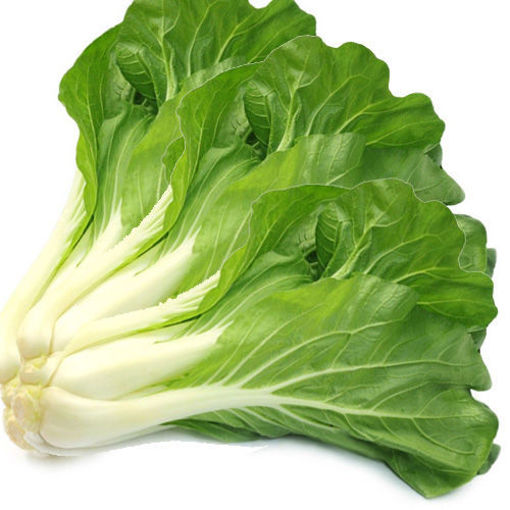 图片 小白菜 2颗 ca.500g