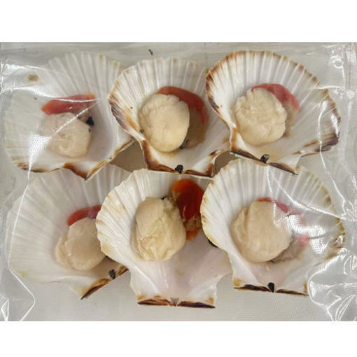 图片 半壳扇贝 6只大号 ca. 400g (+/-50g)